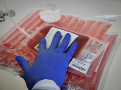 Poches de sang préparées en vue d'une modification génétique de certaines cellules - GERARD JULIEN [AFP/Archives]