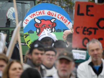 Défilé à Strasbourg avec les manifestants qui brandissent une pancarte "la vache qui crie", à Strasbourg, le 22 octobre 2019 - FREDERICK FLORIN [AFP/Archives]