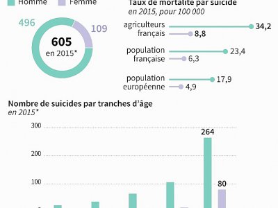 Le suicide chez les agriculteurs - Valentine GRAVELEAU [AFP]