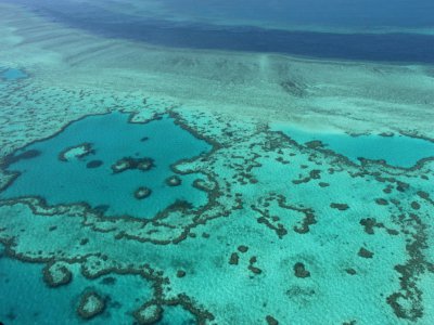 La Grande barrière de corail en Australie en 2014 - SARAH LAI [AFP/Archives]