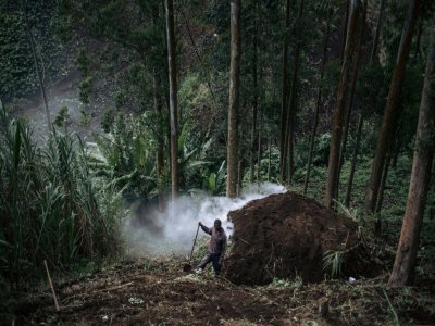 Joseph Bisole, ancien enfant soldat, fabrique du charbon de bois dans le cadre d'un projet du WWF visant à réduire la production illégale, à Burungu, le 28 septembre 2019 en RDC - ALEXIS HUGUET [AFP]