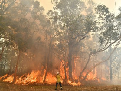 Un pompier luttant contre les incendies au nord de Sydney, le 10 décembre 2019 - SAEED KHAN [AFP]