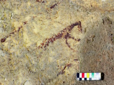 Photo fournie par l'université australienne de Griffith le 11 décembre 2019 montrant une scène de chasse préhistorique peinte il y a plus de 40.000 ans trouvée sur les parois d'une grotte du site de Leang Bulu Sipong, en Indonésie - RATNO SARDI [GRIFFITH UNIVERSITY/AFP]