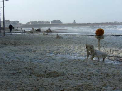 La plage était quasi déserte quand le photographe a saisi l'instant. - Richard Duval