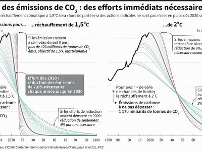 Réduction des émissions de CO2 : des efforts immédiats nécessaires - Gal ROMA [AFP]