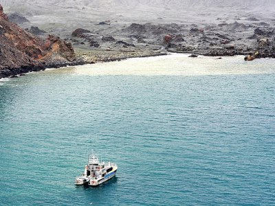 Des plongeurs recherchent samedi 14 décembre des corps de victimes de l'éruption d'un volcan sur White Island, une île néo-zélandaise - Handout [NEW ZEALAND DEFENCE FORCE/AFP]