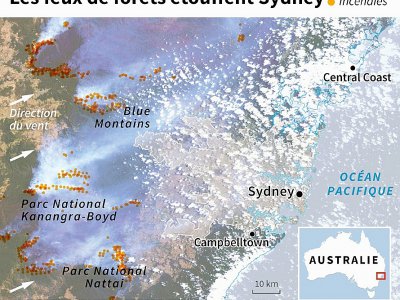 Les feux de forêts étouffent Sydney - Patricio ARANA [AFP]