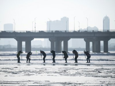 Des travailleurs armés de pics découpent des blocs de glace de la rivière Songhua, le 12 décembre 2019 à Harbin, en Chine - NOEL CELIS [AFP]