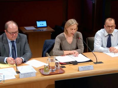Trois dirigeants de Lubrizol ont été auditionnés par la commission d'enquête sénatoriale. - Sénat