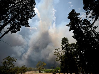 Un important feu de brousse à Balmoral, située à 150 kilomètres au  sud-ouest de Sydney en Australie, le 19 décembre 2019 - Peter PARKS [AFP]