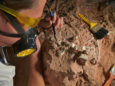 Paleontologist Rodrigo Temp Muller and the team he works on are studying several dinosaur species - CARL DE SOUZA [AFP]