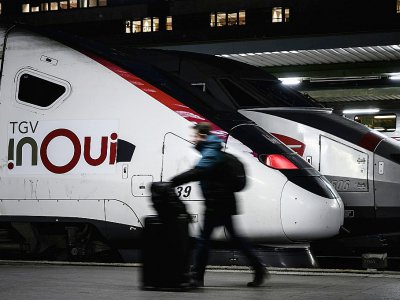 Des TGV à quai à la gare de Lyon au 16e jour de la grève contre la réforme des retraites, le 20 décembre 2019 à Paris - Philippe LOPEZ [AFP]