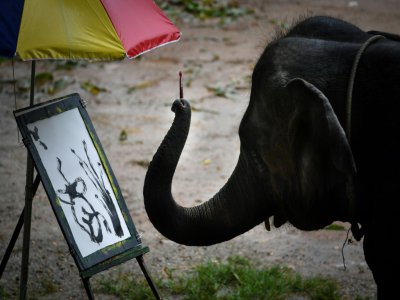 Un éléphant peint avec sa trompe au Maetaeng Elephant Park, le 8 novembre 2019 en Thaïlande - Lillian SUWANRUMPHA [AFP]