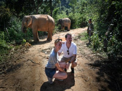 Des touristes se font photographier à proximité de deux éléphants dans le parc de ChangChill, près de Chiang Mai, le 6 novembre 2019 en Thaïlande - Lillian SUWANRUMPHA [AFP]