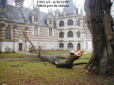 Le parc du château d'Etelan a été l'un des parcs les plus touchés de Seine-Maritime lors de la tempête de décembre 1999. - Marc Boudier