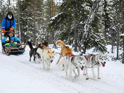 Des touristes se promènent en traîneau à chiens, autour du village du père Noël, près de Rovaniemi, en Laponie finlandaise, le 3 décembre 2019. - Jonathan NACKSTRAND [AFP]