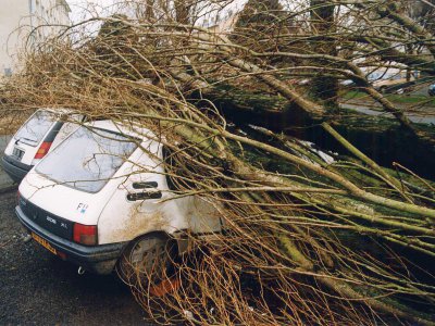 De nombreux arbres sont tombés sur les routes lors de la tempête de 1999.