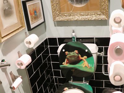 Le style grenouille, jusqu'aux toilettes ! - Célia Caradec