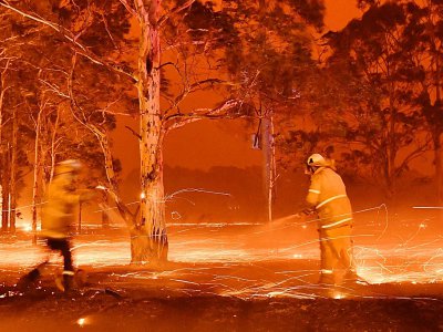 Des pompiers arrosent des troncs d'arbres pour lutter contre le feu dans la ville de Nowra en Nouvelle-Galles du Sud, le 31 décembre 2019 - Saeed KHAN [AFP]