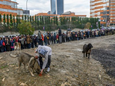 Une femme nourrit un chien errant devant une longue file d'habitants qui attendent pour déposer leur pétition contre un projet de canal à Istanbul, le 27 décembre 2019 - BULENT KILIC [AFP]