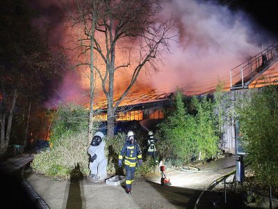 Des pompiers luttent contre l'incendie qui a tué plusieurs dizaines de singes dans le zoo de Krefeld, en Allemagne, le 1er janvier 2020 - Alexander FORSTREUTER [DPA/AFP]