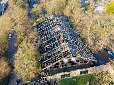 L'enclos des singes du zoo de Krefeld, dans l'ouest de l'Allemagne, dévasté par un incendie le 1er janvier 2020 - Christoph Reichwein [dpa/AFP]
