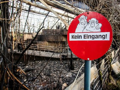 Un panneau portant les mots "Entrée interdite", à l'entrée de l'enclos des singes du zoo de Krefeld en Allemagne, détruit par un incendie dans la nuit du 1er janvier 2020 - Christoph Reichwein [dpa/AFP]