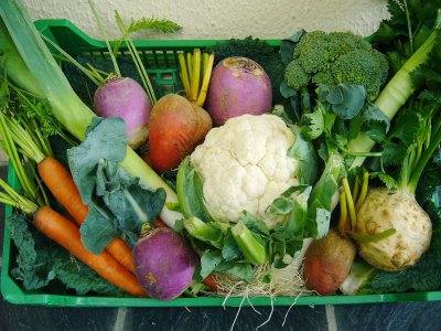 Privilégier les légumes est une bonne chose après les fêtes de fin d'année… (illustration)