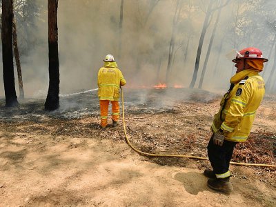 Des pompiers combattent un feu de forêt près de Batemans Bay dans l'Etat de Nouvelles Galles du Sud, en Australie, le 3 janvier 2020 - PETER PARKS [AFP]