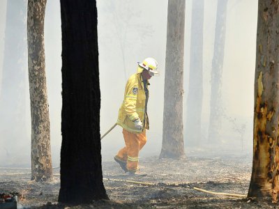 Un pompier près de Batemans Bay (Australie) le 3 janvier 2020 - PETER PARKS [AFP]