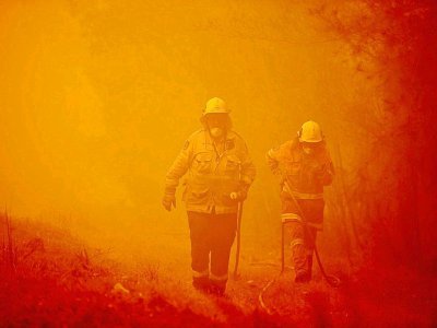 Des pompiers tentent d'éteindre un feu de forêt sur la commune de Moruya, au sud de Batemans Bay, le 4 janvier 2020 - PETER PARKS [AFP]