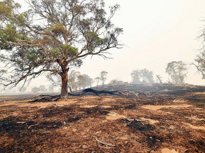 There has been growing anger in Australia about Prime Minister Scott Morrison conservative government's slow response to the deadly climate-fuelled bushfire crisis - SAEED KHAN [AFP]