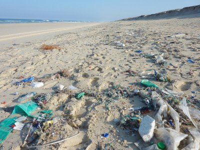 Le samedi 4 janvier, la plage de Merville-Franceville a été nettoyée par des bénévoles. - Pixabay