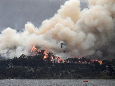 Incendies de forêts à Eden en Australie le 6 janvier 2020 - SAEED KHAN [AFP/Archives]