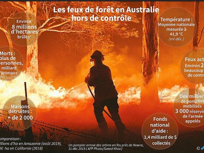 Les feux de forêt en Australie - Gal ROMA [AFP]