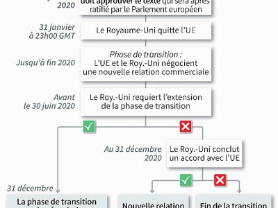 Le calendrier et les options du Brexit après le vote le 9 janvier du parlement britannique - Gillian HANDYSIDE [AFP]