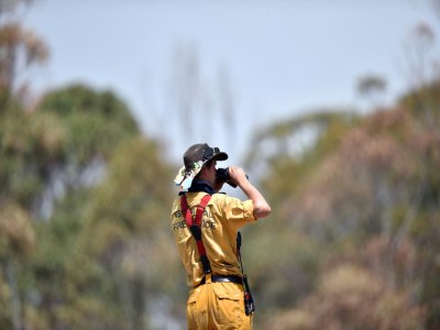 Un pompier surveille l'avancée des incendies dans la région de Penrose, en Nouvelles-Galles du Sud, en Australie, le 10 janvier 2020 - SAEED KHAN [AFP]