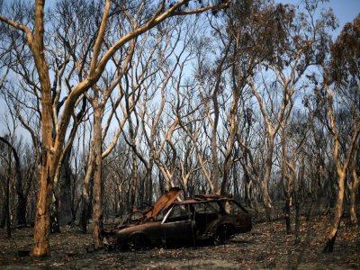 Un véhicule et des arbres calcinés à Lithgow, le 11 janvier 2020 en Australie - SAEED KHAN [AFP]