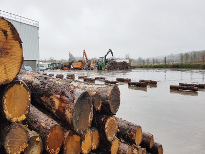 Biocombustibles inaugure sa plateforme bois sur l'ex site de GDE à Nonant-le-Pin près d'Argentan, le mardi 14 janvier. - Eric Mas