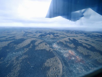 Vue aérienne des forêts calcinées sur l'île Kangourou, le 15 jnavier 2020 en Australie - PETER PARKS [AFP]