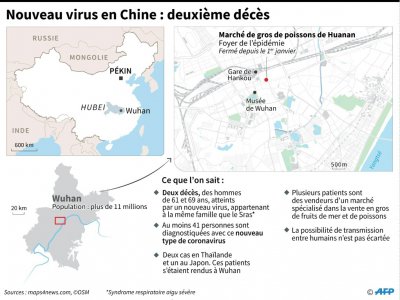 Nouveau virus en Chine : deuxième décès - Gal ROMA [AFP]