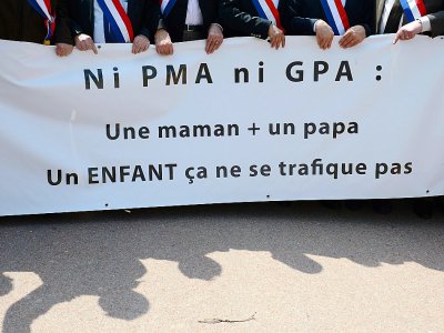 Manifestation anti-PMA et anti-GPA le 5 mai 2013 à Lyon - PHILIPPE DESMAZES [AFP/Archives]