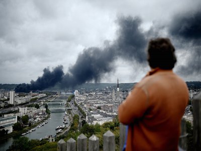 Les crises environnementales, doublées des catastrophes comme celle de l'usine Lubrizol à Rouen, rendraient-elles la population plus sensible aux arguments électoraux des Verts ?