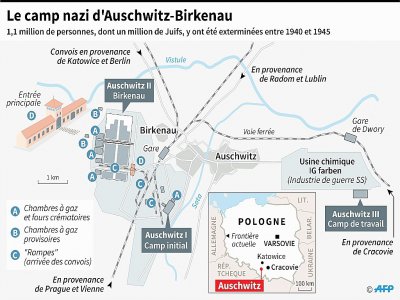 Le camp nazi d'Auschwitz-Birkenau - Sophie RAMIS [AFP]