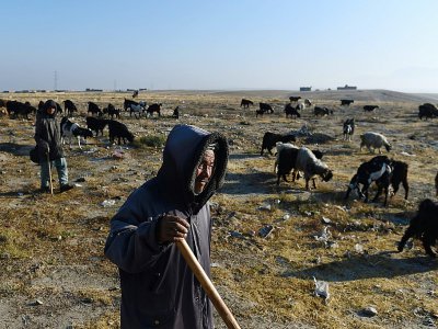 Des bergers conduisent leur troupeau de moutons sur les terres bûlées près de Mazar-i-Sharif, le 28 novembre 2019 en Afghanistan - FARSHAD USYAN [AFP]