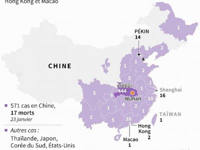 Coronavirus : cas confirmés en Chine - John SAEKI [AFP]