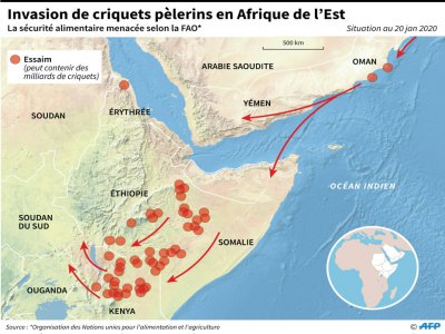 Carte d'Afrique de l'Est montrant le mouvement des essaims de criquets pèlerins qui menacent la sécurité alimentaire, selon la FAO - Laurence SAUBADU [AFP]