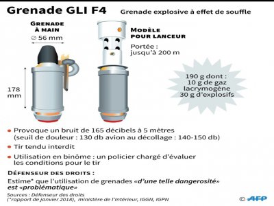 Fiche sur la grenade GLI F4 - [AFP/Archives]