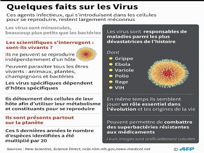Quelques faits sur les virus - John SAEKI [AFP]