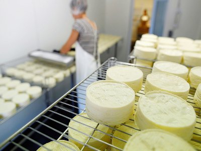 Le projet d'accord aurait accordé la dénomination "camembert AOP de Normandie" à tout fromage, y compris les industriels au lait pasteurisé - CHARLY TRIBALLEAU [AFP/Archives]